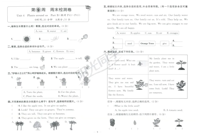 周末小测卷_25秋小学语数英习题试卷_英语_人教版_英语《阳光同学提优新卷》人教25秋_提优新卷英语人教3