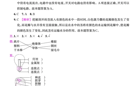 期中综合测试答案（含解析）_三年级上下册资料_小学三年级学习资料-25年更新版_3-10、小学三年级科学下册_大象版_期中测试卷