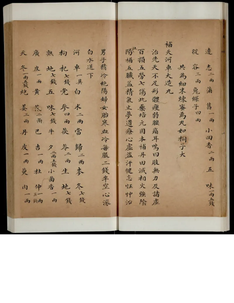 1_绝版书_天涯系列_t涯_绝版古籍电子书合集（13大类）_医书类_丸散膏丹神效十门