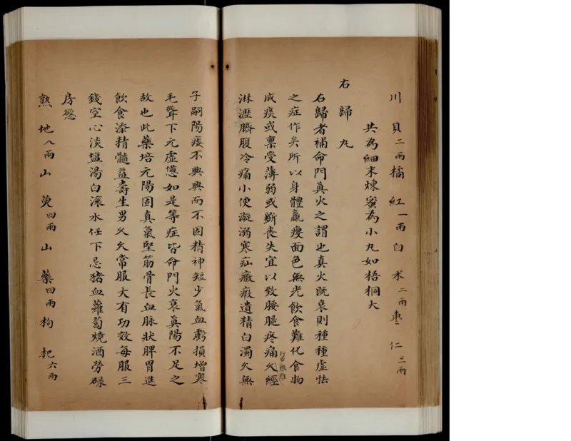 1_绝版书_天涯系列_t涯_绝版古籍电子书合集（13大类）_医书类_丸散膏丹神效十门