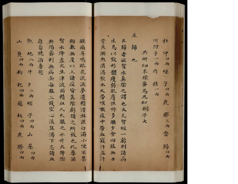 1_绝版书_天涯系列_t涯_绝版古籍电子书合集（13大类）_医书类_丸散膏丹神效十门