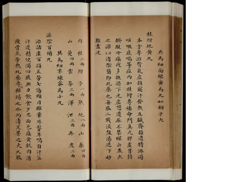 1_绝版书_天涯系列_t涯_绝版古籍电子书合集（13大类）_医书类_丸散膏丹神效十门