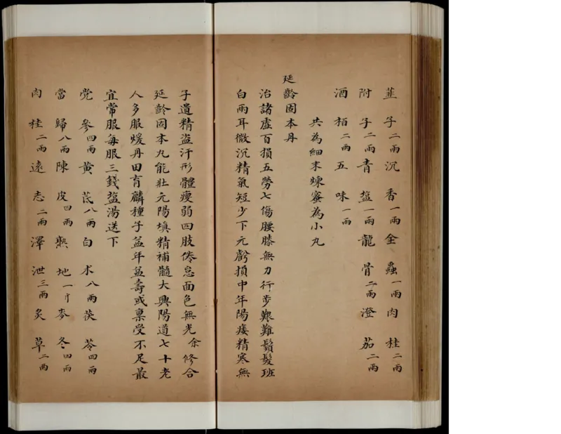 1_绝版书_天涯系列_t涯_绝版古籍电子书合集（13大类）_医书类_丸散膏丹神效十门