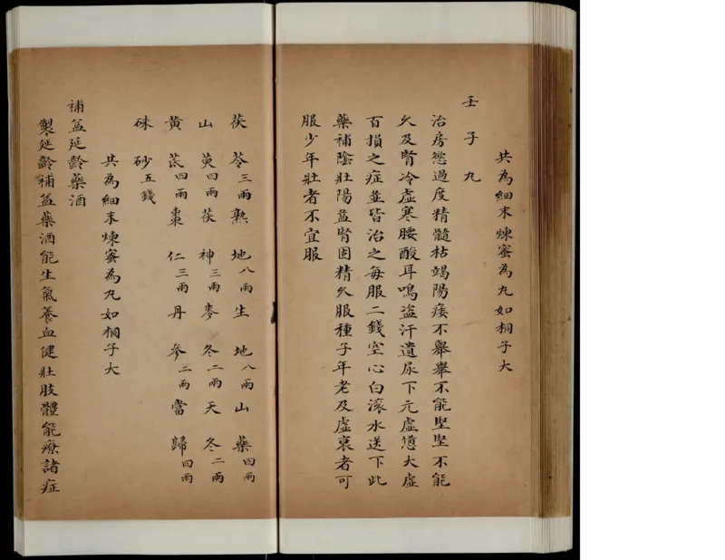 1_绝版书_天涯系列_t涯_绝版古籍电子书合集（13大类）_医书类_丸散膏丹神效十门