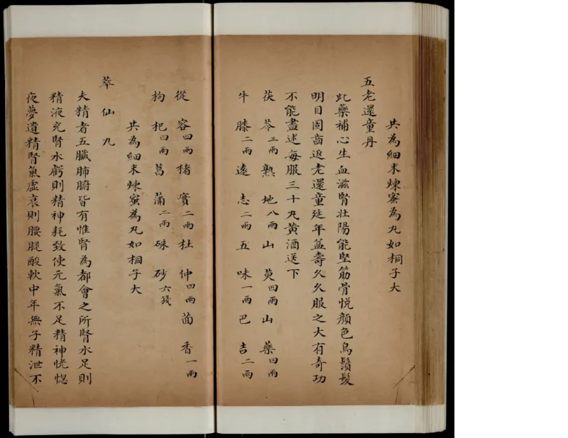 1_绝版书_天涯系列_t涯_绝版古籍电子书合集（13大类）_医书类_丸散膏丹神效十门