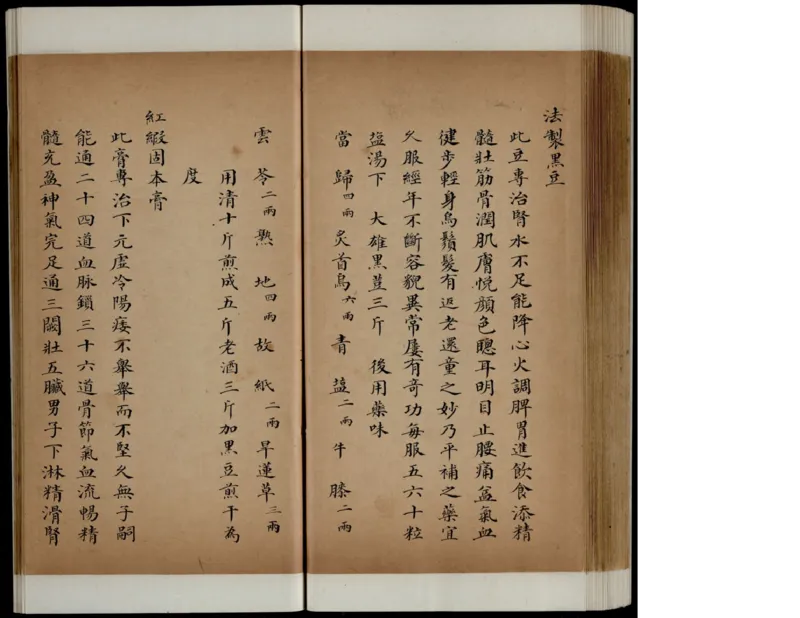 1_绝版书_天涯系列_t涯_绝版古籍电子书合集（13大类）_医书类_丸散膏丹神效十门