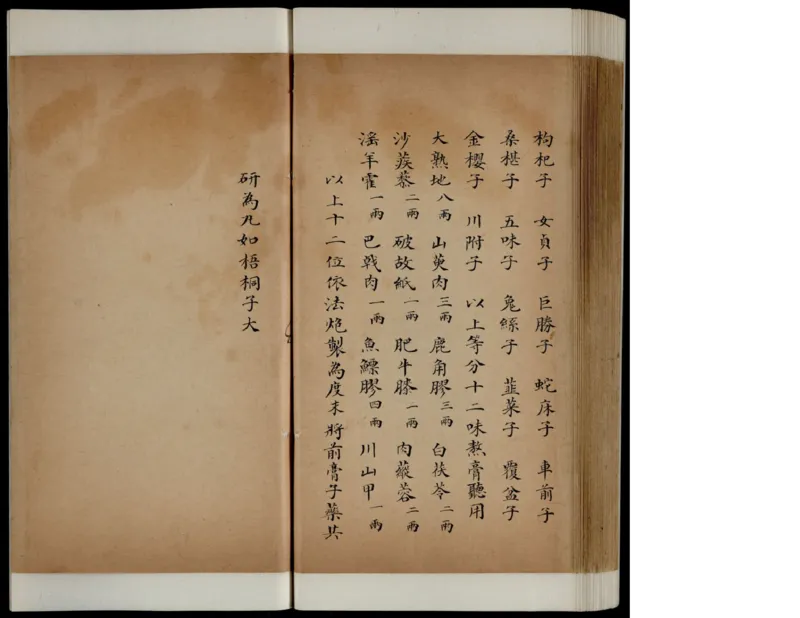 1_绝版书_天涯系列_t涯_绝版古籍电子书合集（13大类）_医书类_丸散膏丹神效十门