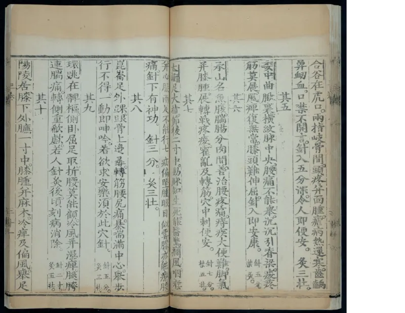 3_绝版书_天涯系列_t涯_绝版古籍电子书合集（13大类）_医书类_针灸大成