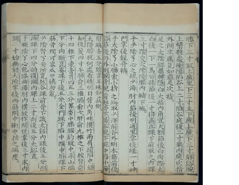 3_绝版书_天涯系列_t涯_绝版古籍电子书合集（13大类）_医书类_针灸大成