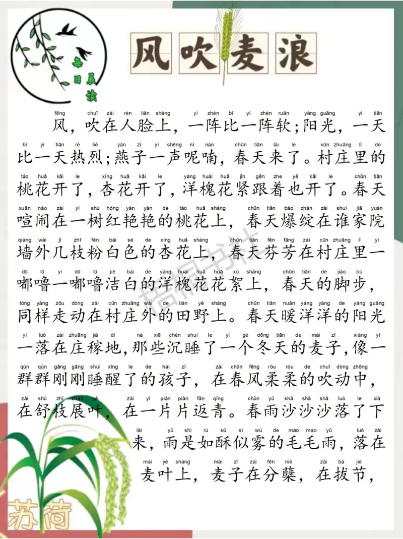 每日晨读苏荷篇2月_一年级上下册资料_小学一年级学习资料-25年更新版_1-00、幼小衔接_幼小衔接每日晨读篇