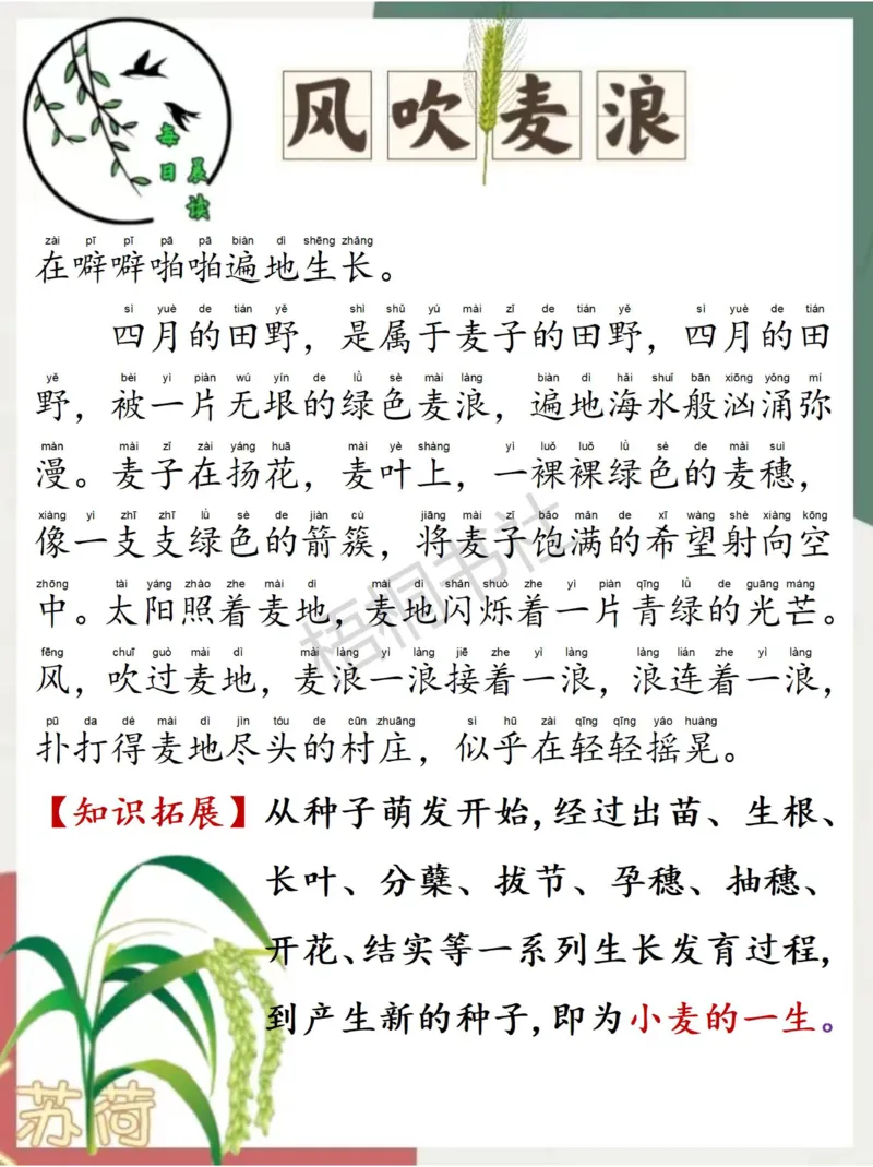 每日晨读苏荷篇2月_一年级上下册资料_小学一年级学习资料-25年更新版_1-00、幼小衔接_幼小衔接每日晨读篇