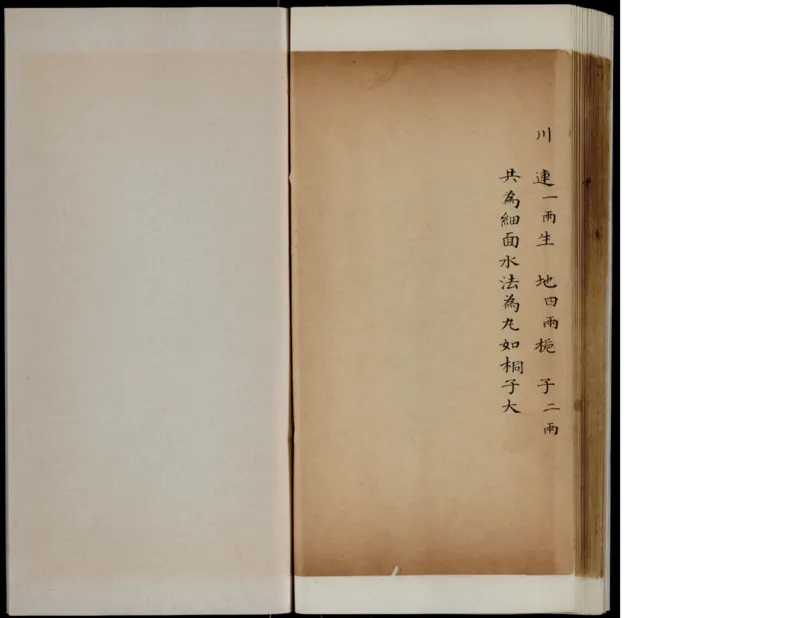 8_绝版书_天涯系列_t涯_绝版古籍电子书合集（13大类）_医书类_丸散膏丹神效十门