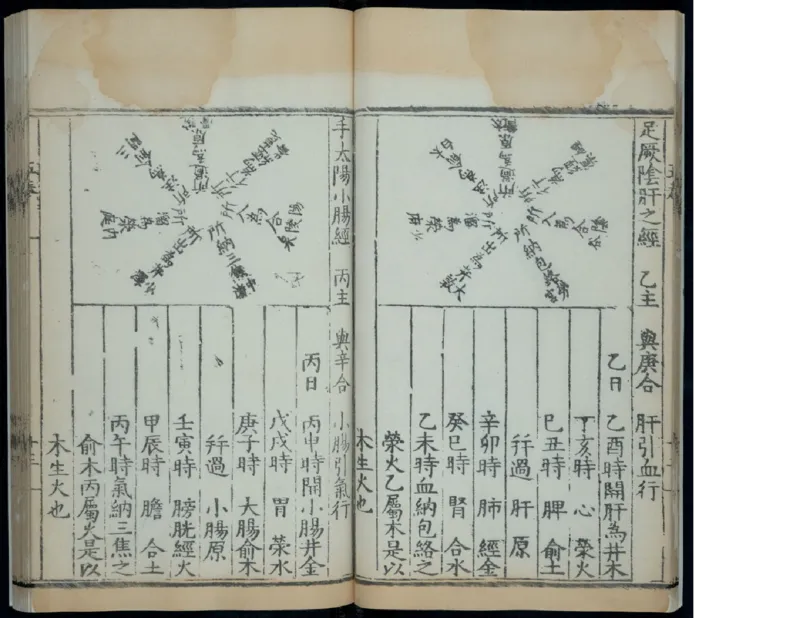 6_绝版书_天涯系列_t涯_绝版古籍电子书合集（13大类）_医书类_针灸大成