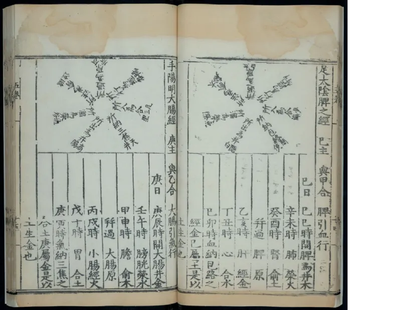 6_绝版书_天涯系列_t涯_绝版古籍电子书合集（13大类）_医书类_针灸大成