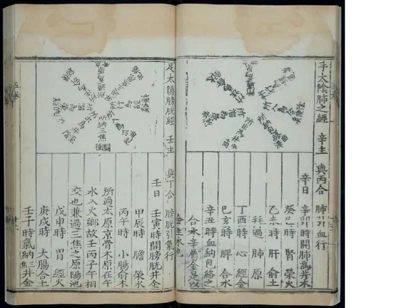 6_绝版书_天涯系列_t涯_绝版古籍电子书合集（13大类）_医书类_针灸大成