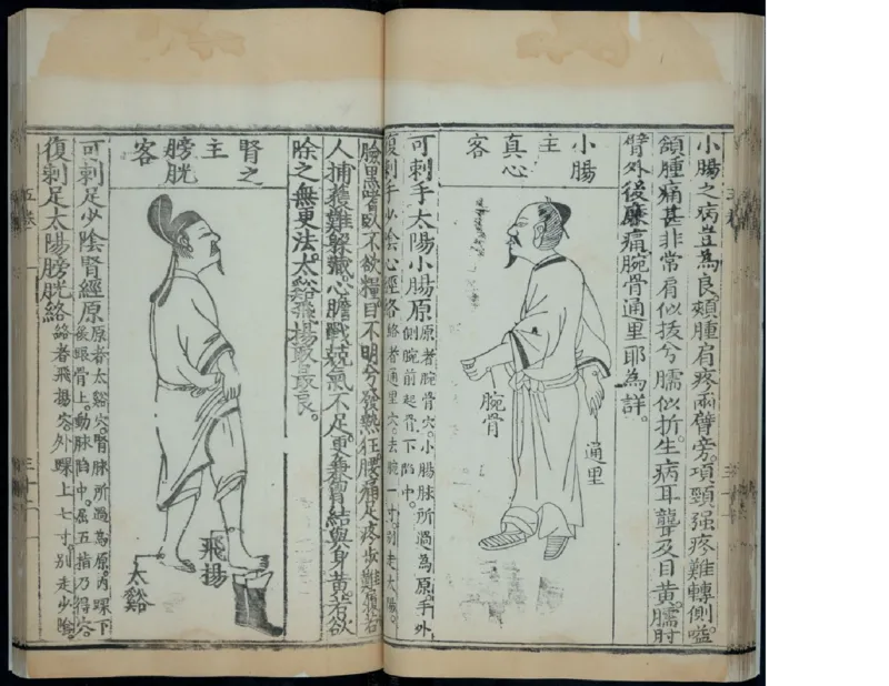 6_绝版书_天涯系列_t涯_绝版古籍电子书合集（13大类）_医书类_针灸大成