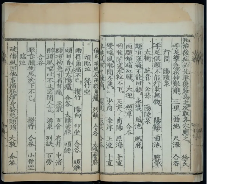 6_绝版书_天涯系列_t涯_绝版古籍电子书合集（13大类）_医书类_针灸大成