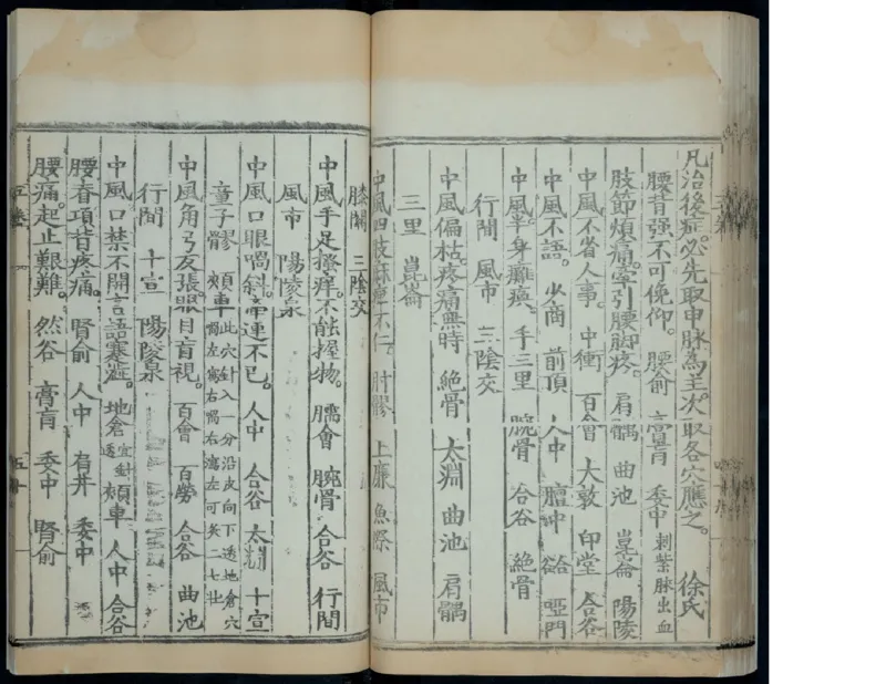 6_绝版书_天涯系列_t涯_绝版古籍电子书合集（13大类）_医书类_针灸大成