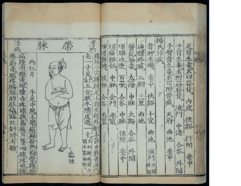 6_绝版书_天涯系列_t涯_绝版古籍电子书合集（13大类）_医书类_针灸大成