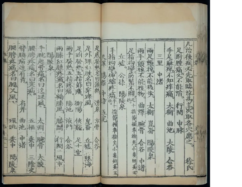 6_绝版书_天涯系列_t涯_绝版古籍电子书合集（13大类）_医书类_针灸大成