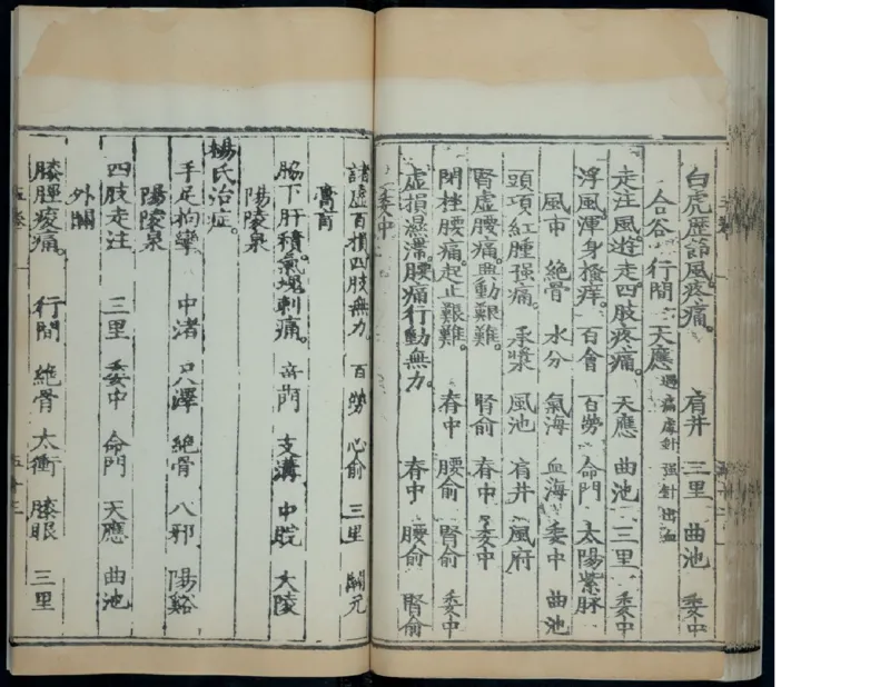 6_绝版书_天涯系列_t涯_绝版古籍电子书合集（13大类）_医书类_针灸大成