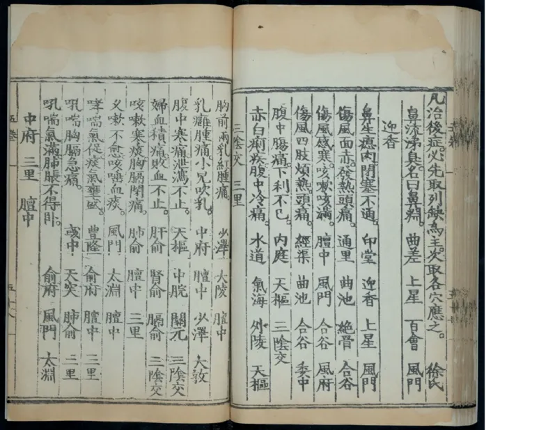 6_绝版书_天涯系列_t涯_绝版古籍电子书合集（13大类）_医书类_针灸大成