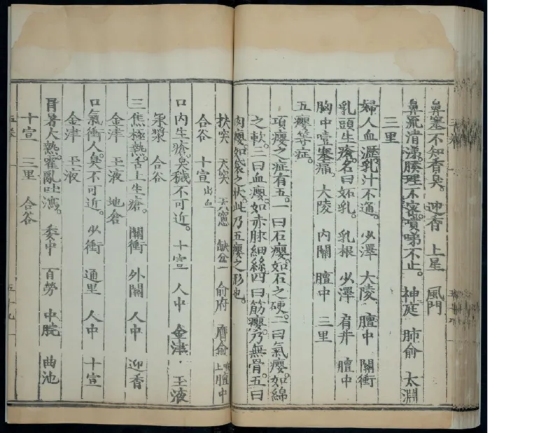 6_绝版书_天涯系列_t涯_绝版古籍电子书合集（13大类）_医书类_针灸大成