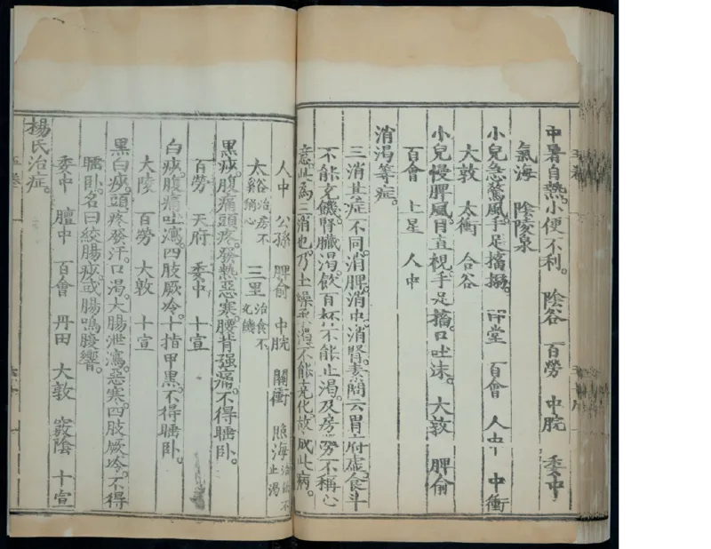 6_绝版书_天涯系列_t涯_绝版古籍电子书合集（13大类）_医书类_针灸大成