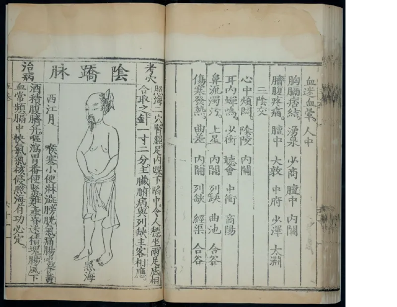 6_绝版书_天涯系列_t涯_绝版古籍电子书合集（13大类）_医书类_针灸大成