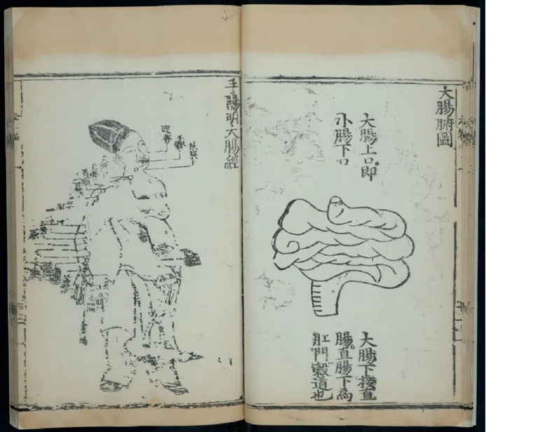 7_绝版书_天涯系列_t涯_绝版古籍电子书合集（13大类）_医书类_针灸大成