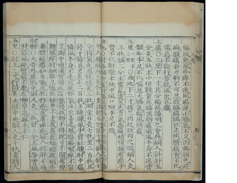 7_绝版书_天涯系列_t涯_绝版古籍电子书合集（13大类）_医书类_针灸大成