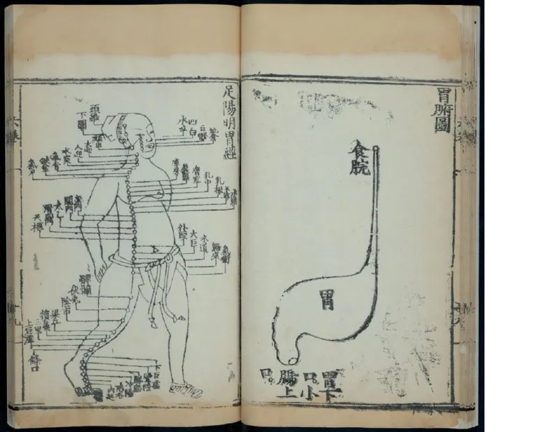 7_绝版书_天涯系列_t涯_绝版古籍电子书合集（13大类）_医书类_针灸大成