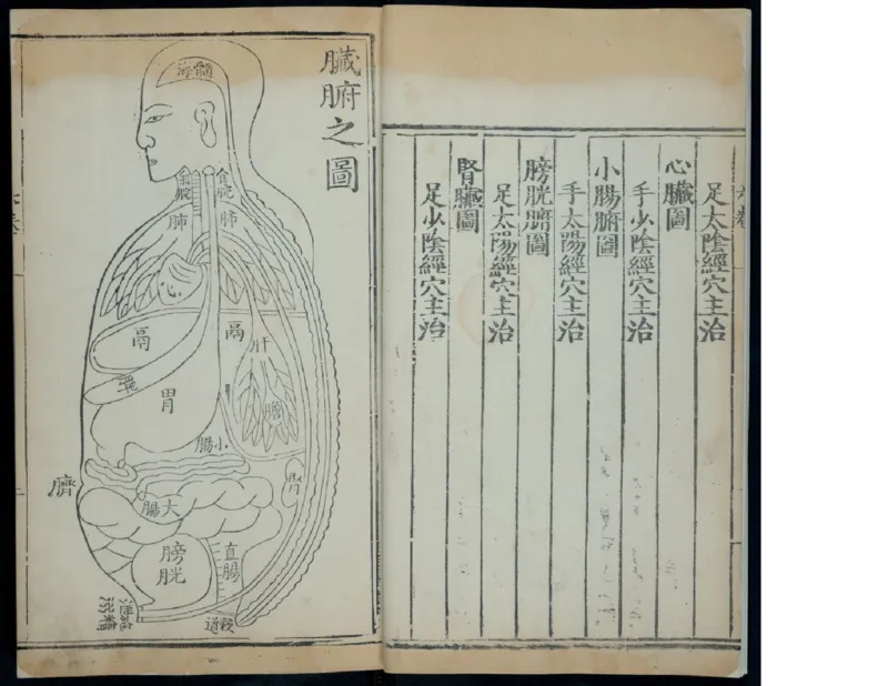 7_绝版书_天涯系列_t涯_绝版古籍电子书合集（13大类）_医书类_针灸大成