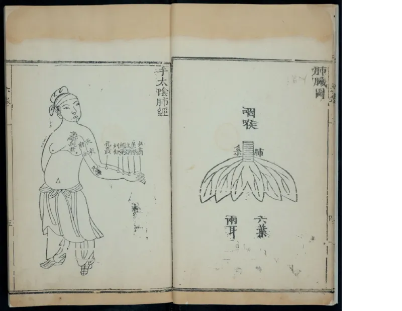 7_绝版书_天涯系列_t涯_绝版古籍电子书合集（13大类）_医书类_针灸大成