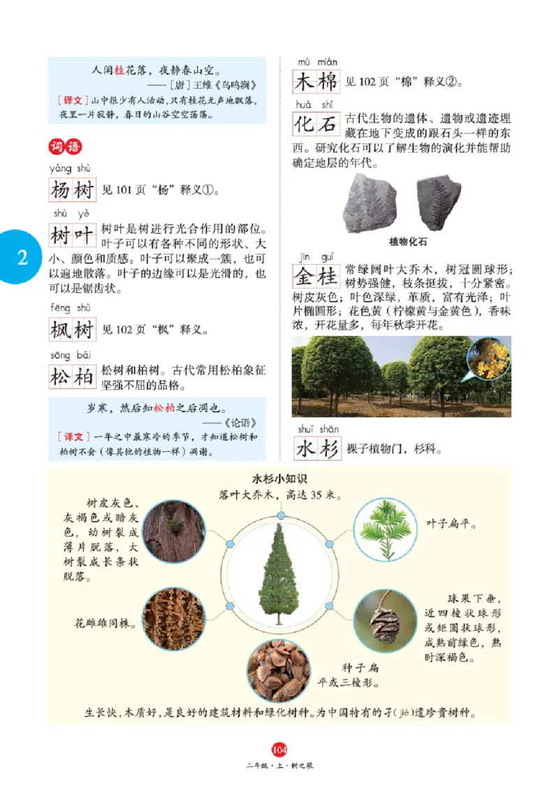 绘本教案2年级上册1_二年级上下册资料_小学二年级学习资料-25年更新版_2-01、小学二年级语文上册_2-1-3、课件、讲义、教案