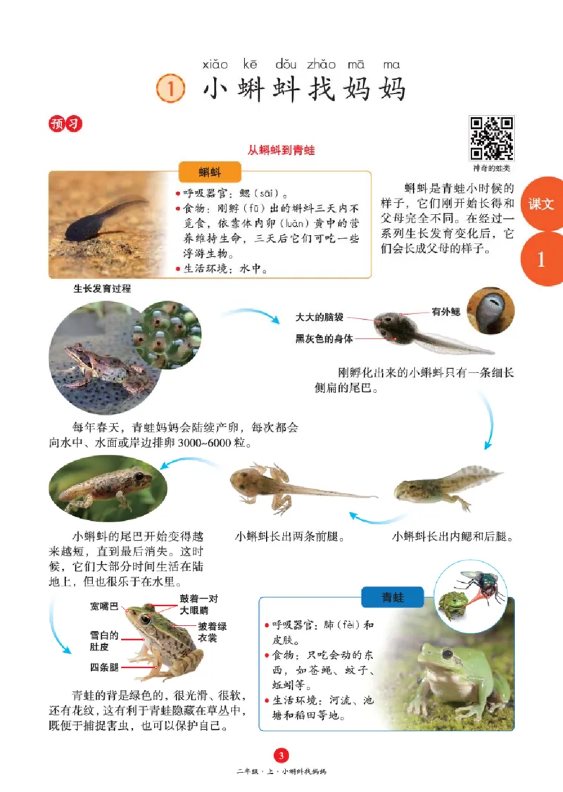 绘本教案2年级上册1_二年级上下册资料_小学二年级学习资料-25年更新版_2-01、小学二年级语文上册_2-1-3、课件、讲义、教案