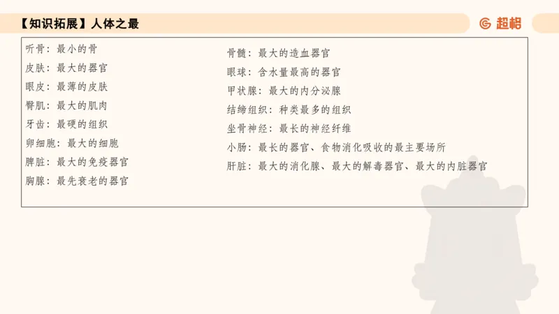 常识刷题part2_2026考公资料_（05）超格_行测申论2025超格合集(行测&申论&政治理论)_行测申论2025省考超格超大杯刷题课（五合一）_政治理论➕常识课件_常识刷题课件