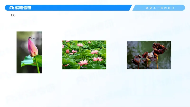 06.25马原强化6_2026考公资料_（49）政治理论合集_政治理论合集_2025考研政治_09.粉笔_03.强化阶段_00.讲义