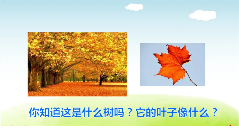 部编版小学三年级上册语文学习教案第2单元第5课铺满金色巴掌的水泥道_三年级上下册资料_小学三年级学习资料-25年更新版_3-01、小学三年级语文上册_3-1-3、课件、讲义、教案