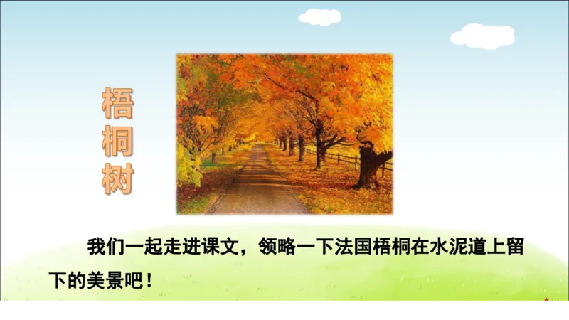 部编版小学三年级上册语文学习教案第2单元第5课铺满金色巴掌的水泥道_三年级上下册资料_小学三年级学习资料-25年更新版_3-01、小学三年级语文上册_3-1-3、课件、讲义、教案