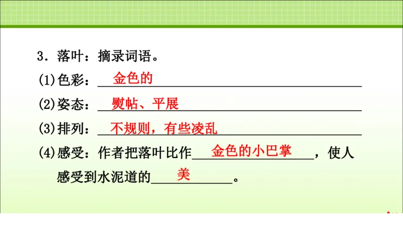 部编版小学三年级上册语文学习教案第2单元第5课铺满金色巴掌的水泥道_三年级上下册资料_小学三年级学习资料-25年更新版_3-01、小学三年级语文上册_3-1-3、课件、讲义、教案