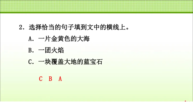 部编版小学三年级上册语文学习教案第2单元第5课铺满金色巴掌的水泥道_三年级上下册资料_小学三年级学习资料-25年更新版_3-01、小学三年级语文上册_3-1-3、课件、讲义、教案
