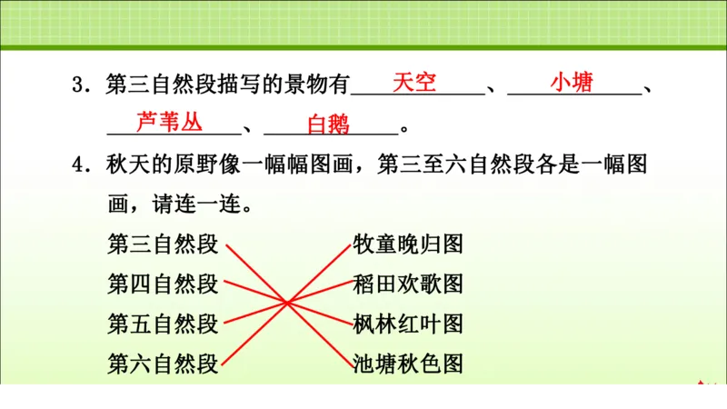 部编版小学三年级上册语文学习教案第2单元第5课铺满金色巴掌的水泥道_三年级上下册资料_小学三年级学习资料-25年更新版_3-01、小学三年级语文上册_3-1-3、课件、讲义、教案