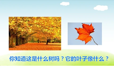 部编版小学三年级上册语文学习教案第2单元第5课铺满金色巴掌的水泥道_三年级上下册资料_小学三年级学习资料-25年更新版_3-01、小学三年级语文上册_3-1-3、课件、讲义、教案