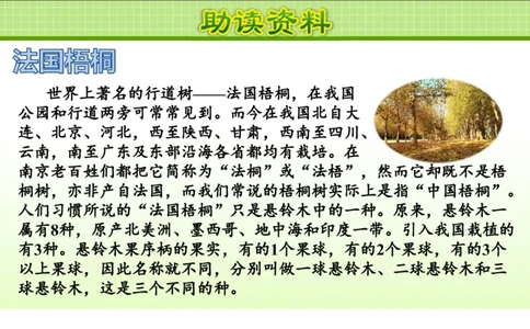 部编版小学三年级上册语文学习教案第2单元第5课铺满金色巴掌的水泥道_三年级上下册资料_小学三年级学习资料-25年更新版_3-01、小学三年级语文上册_3-1-3、课件、讲义、教案