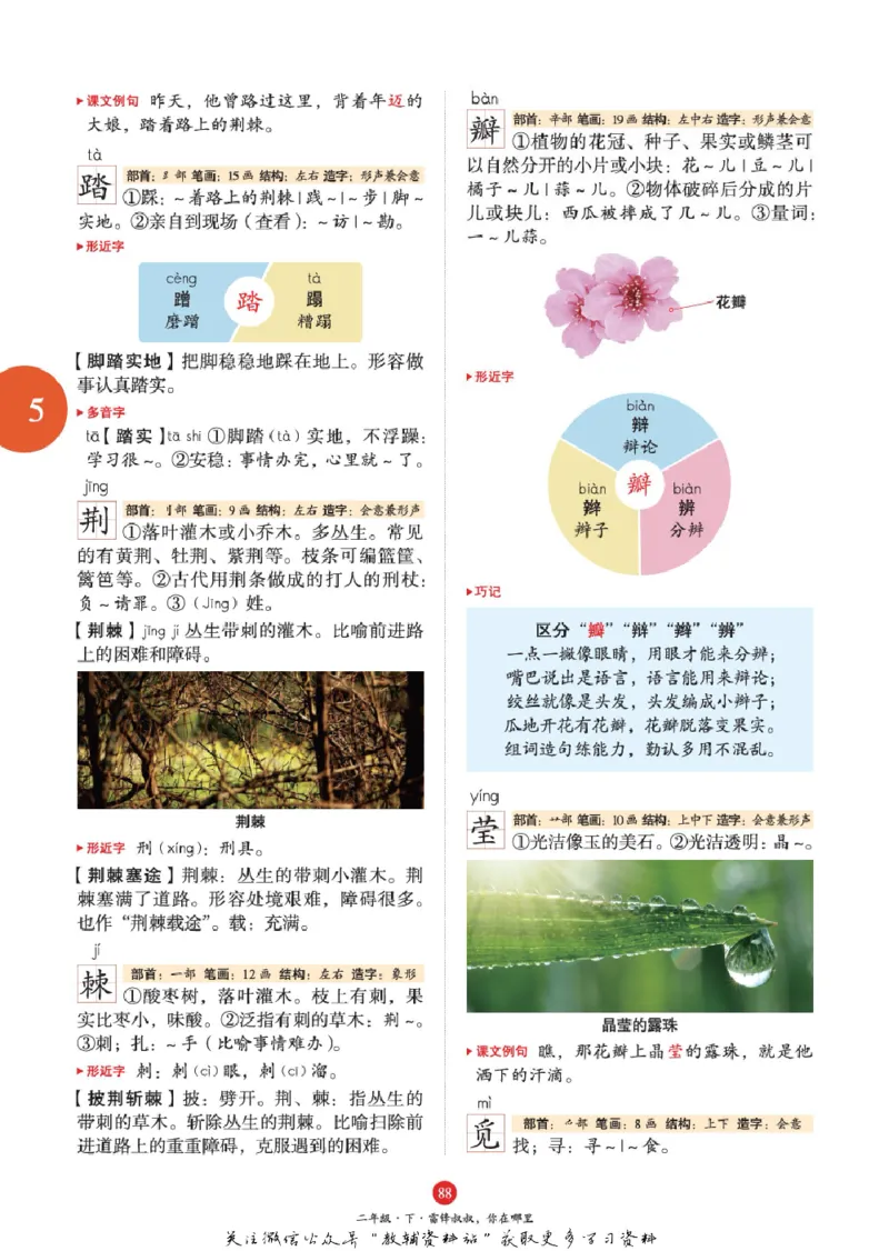 绘本课堂二年级下册语文部编版J1_二年级上下册资料_小学二年级学习资料-25年更新版_2-02、小学二年级语文下册_2-2-2、练习题、作业、试题、试卷_电子册类