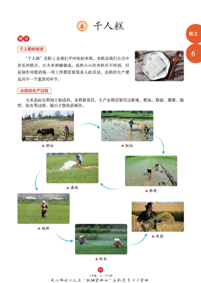 绘本课堂二年级下册语文部编版J1_二年级上下册资料_小学二年级学习资料-25年更新版_2-02、小学二年级语文下册_2-2-2、练习题、作业、试题、试卷_电子册类