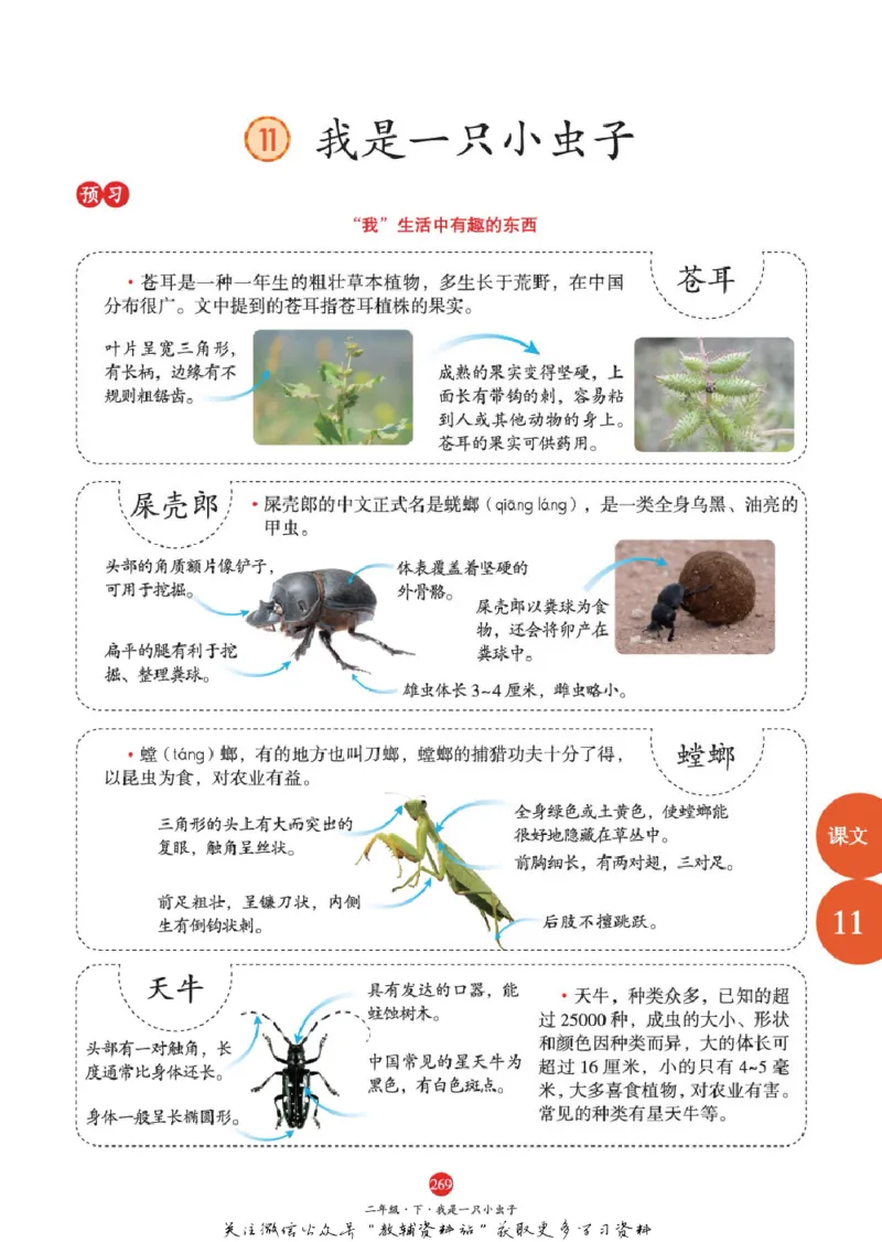 绘本课堂二年级下册语文部编版J1_二年级上下册资料_小学二年级学习资料-25年更新版_2-02、小学二年级语文下册_2-2-2、练习题、作业、试题、试卷_电子册类