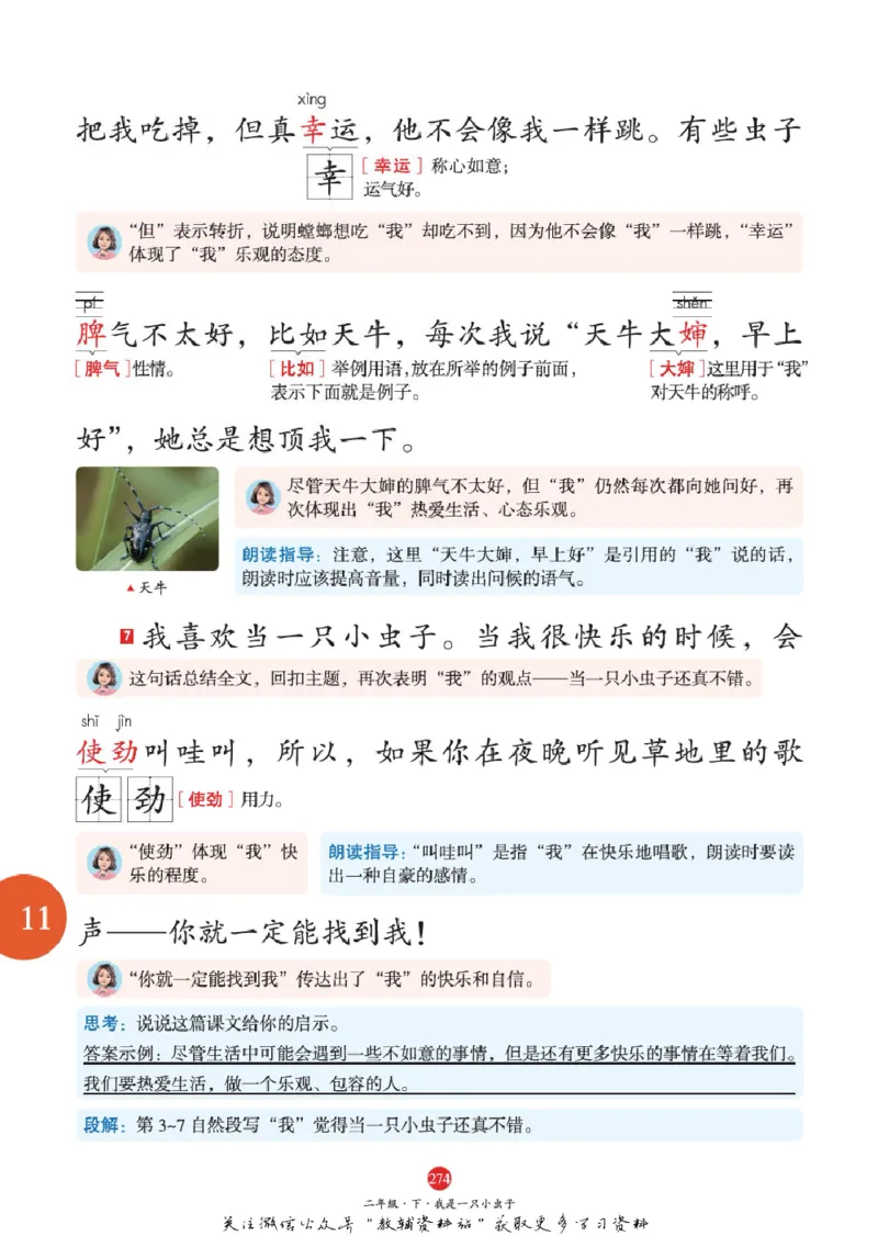 绘本课堂二年级下册语文部编版J1_二年级上下册资料_小学二年级学习资料-25年更新版_2-02、小学二年级语文下册_2-2-2、练习题、作业、试题、试卷_电子册类