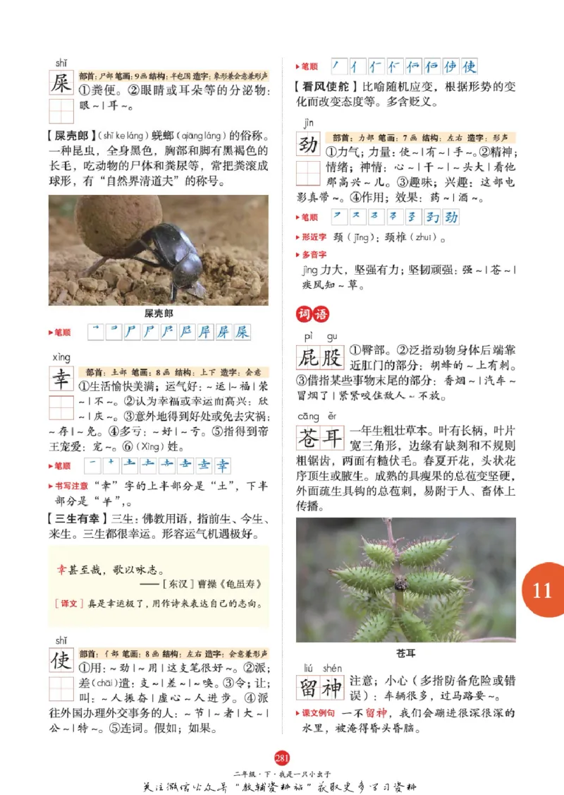 绘本课堂二年级下册语文部编版J1_二年级上下册资料_小学二年级学习资料-25年更新版_2-02、小学二年级语文下册_2-2-2、练习题、作业、试题、试卷_电子册类